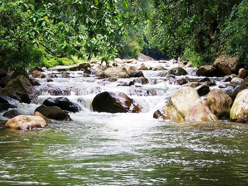 Peter'S Coffee Creek Nature Resort Meppādi Esterno foto
