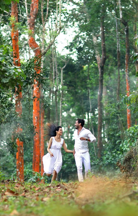 Peter'S Coffee Creek Nature Resort Meppādi Esterno foto