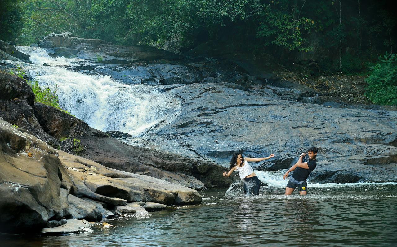 Peter'S Coffee Creek Nature Resort Meppādi Esterno foto